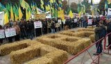 митинг