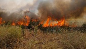 Під час пожеж у Харківській області евакуювали 52 осіб, одна постраждала, - ДСНС