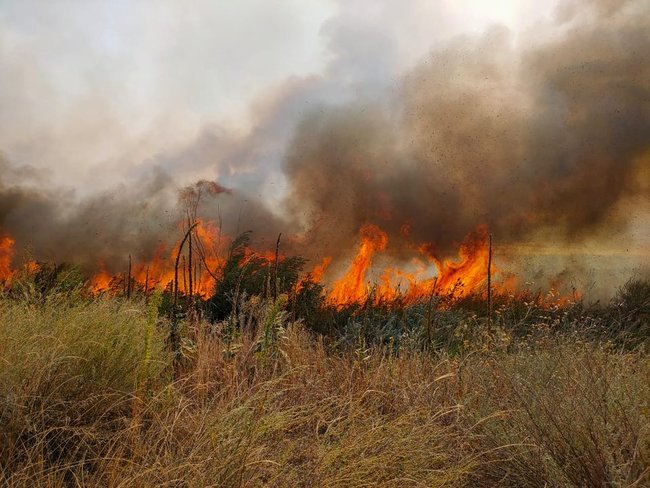 Підрозділи ЗСУ допомагають гасити масштабну пожежу на Луганщині, - штаб ООС 02