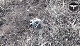 война