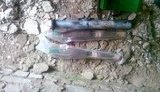 сбу боеприпасы