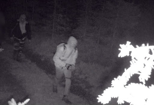 В течение трех суток задержаны 43 мужчины, которые пытались попасть в Румынию и Молдову вне пунктов пропуска, - ГНСУ 03