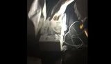 Deputy Minister of Temporarily Occupied Territories and IDPs detained for bribery: SBU reveals video. VIDEO