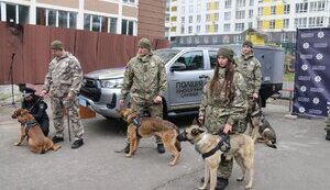 Нидерланды передали Украине 11 собак-саперов. ФОТОрепортаж