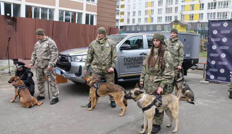Нидерланды передали Украине 11 собак-саперов. ФОТОрепортаж