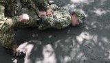 Командира роти однієї з бригад Генштабу ЗСУ затримано на одержанні 5,5 тис. грн хабара на Донеччині. ФОТО