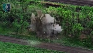 Сили оборони виявили та знищили групу окупантів, які намагалися укритися в лісосмузі неподалік наших позицій. ВIДЕО