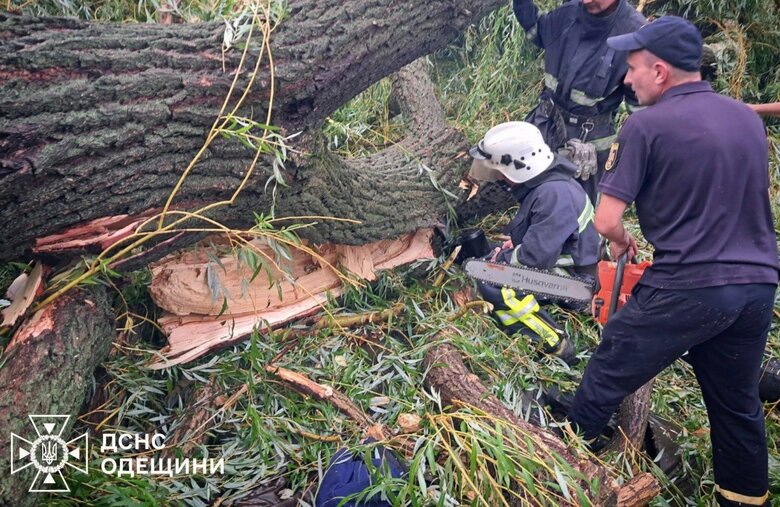дерево впало на дітей