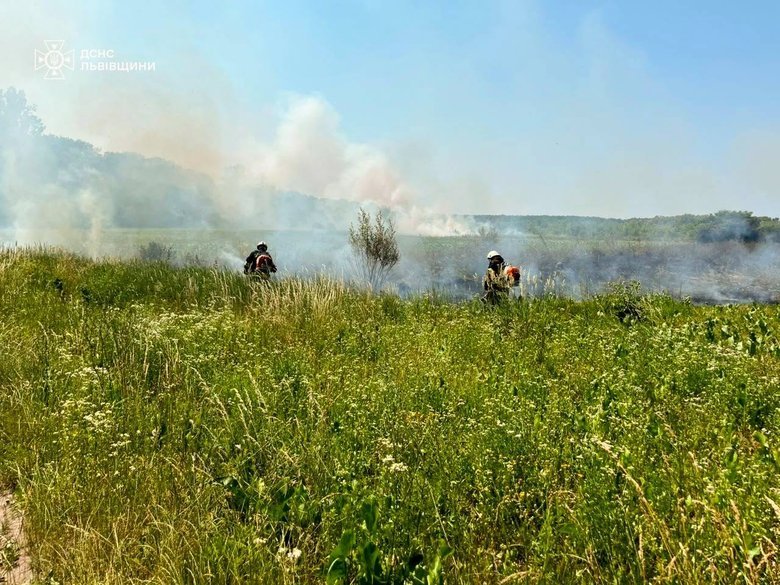 пожар в Пустомитах
