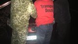Євробляхер двічі намагався на великій швидкості прорватися в Україну через кордон зі Словаччиною. ФОТО