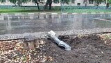 нікополь