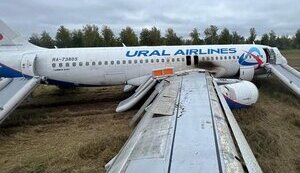 Кому літати, а кому плазувати