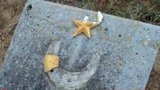 крым севастополь вандалы