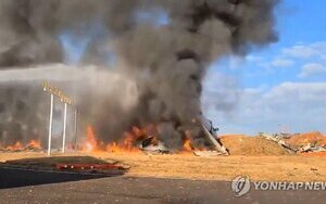 У Південній Кореї розбився пасажирський літак