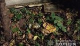 Правоохоронці Львівщини затримали зловмисника, який погрожував підірвати будинок із дружиною та дітьми. ФОТОрепортаж