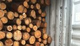 лес экспорт налоговики