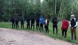 Зеленский одобрил предоставление Литве колючей проволоки для борьбы с мигрантами из Беларуси