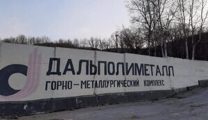 У Росії націоналізували найбільшого виробника компонентів для боєприпасів