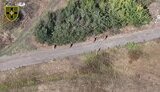полонені