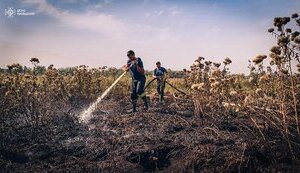 Air quality deteriorates in Kyiv due to peat bogs burning in region. VIDEO+PHOTOS