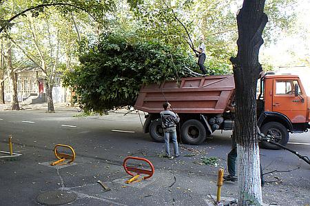 Цензор.НЕТ Изображение