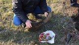 У Донецькій області поблизу лінії розмежування прикордонники знайшли сховок із боєприпасами. ВІДЕО+ФОТО