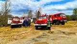 Все источники огня в Чернобыльской зоне ликвидированы. Волна пожаров сбита, - Аваков. ФОТОрепортаж
