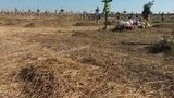 кладбище донецк боевик militant graveyard donetsk