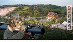 Котодесант