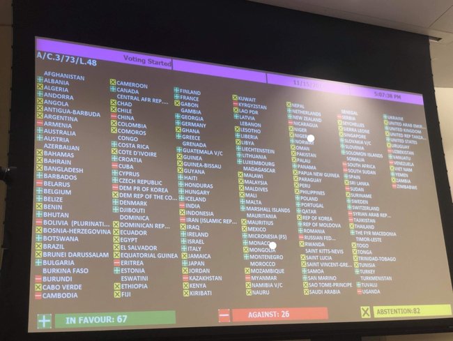 26 країн - членів ООН проголосували проти українського варіанта резолюції щодо Криму 01