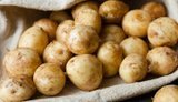 Молода картопля за тиждень подешевшала на 20%