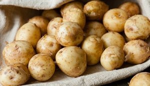 Молода картопля за тиждень подешевшала на 20%