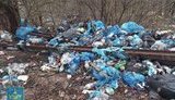Ексдиректорка підприємства завдала шкоди землям Трускавця на 70 мільйонів, – Офіс генпрокурора