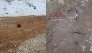 Дорогу в РФ посыпали песком с человеческими костями