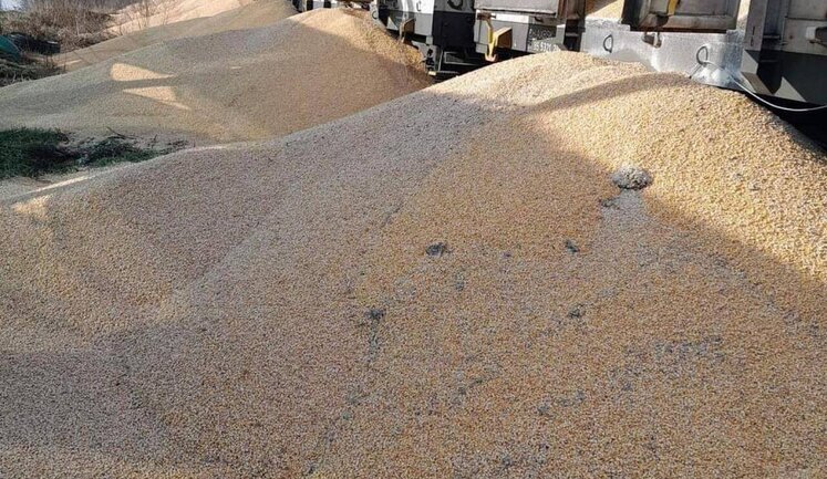 180 tonnes of Ukrainian corn spilled from freight wagons in Poland - Ukrzaliznytsia. PHOTOS