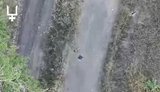 Українські безпілотники знищили ворожі дрони-пастки