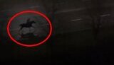 Police chasing horse rider in Netishyn