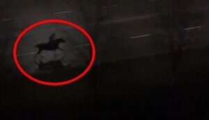 Patrol policemen try to catch up with horse rider during curfew in Netishyn, Khmelnytskyi region. VIDEO