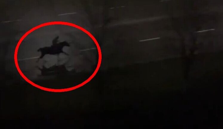Patrol policemen try to catch up with horse rider during curfew in Netishyn, Khmelnytskyi region. VIDEO