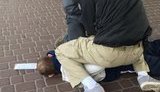 гвардия национальная