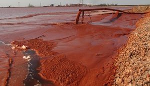 Відходи виробництва Миколаївського глиноземного заводу завдають шкоди людям, рослинам і тваринам, - еколог