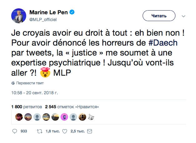 Марин Ле Пен отправили на психиатрическую экспертизу 02