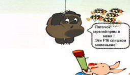 Медведь и F16