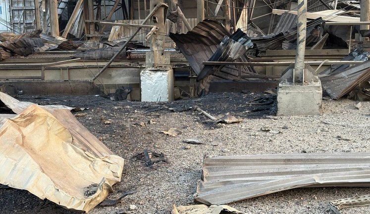 РФ атаковала портовую инфраструктуру Одесской области: повреждены два гражданских коммерческих судна под флагами Палау и Барбадоса. ФОТО