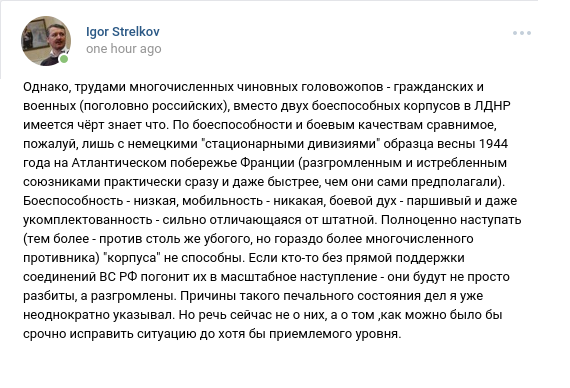 Стрелков-Гиркин назвал российских военных "головожопами": "Боеспособность - низкая, мобильность - никакая, боевой дух - паршивый" 01