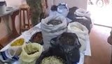 На таможне изъяли крупнейшую партию контрабандного янтаря за последние годы. ФОТО