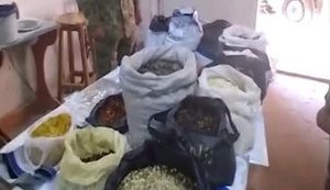 На таможне изъяли крупнейшую партию контрабандного янтаря за последние годы. ФОТО