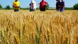 Как аграрии отреагировали на открытие рынка земли