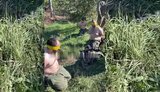 полонені