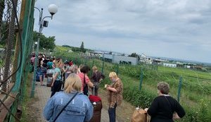 В Польшу через
